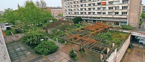 Wird beseitigt. Die Grünanlage im Staudenhof – hier ein Bild aus dem Mai – steht den Plänen für die Potsdamer Mitte im Weg. Nun wird ein Großteil der Pflanzen entfernt.