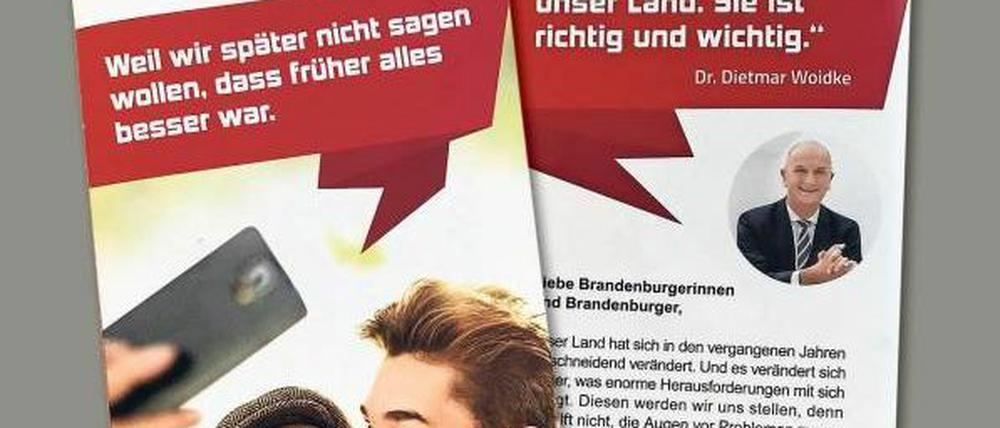 Werbematerial. Neben SPD-rotem Hintergrund grüßt Dietmar Woidke lächelnd die Brandenburger.