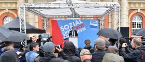 Auf der Kundgebung in Potsdam sprach unter anderem der AfD-Rechtsaußen Björn Höcke.
