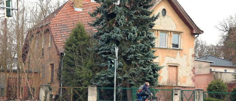 Heiß begehrt. Inzwischen gibt es schon drei Interessenten für die Villa in der Ruhlsdorfer Straße. Doch wer sie kauft, muss sie auch sanieren oder zumindest Teile von ihr stehen lassen.