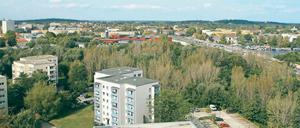 Bisher eine Grünfläche. Auf der unbebauten Fläche zwischen den Hochhäusern am Humboldtring, der Nuthestraße und der Havel sollen 270 Wohnungen entstehen.