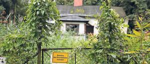 Erholungsgebiet mit Wohnnutzen. Für die Siedlung Klein Moskau in Kleinmachnow gab es lange keinen Bebauungsplan. Infolgedessen war die rechtliche Situation der Bewohner unsicher. Viele verließen ihre Häuser, einzelne Grundstücke verwahrlosten.