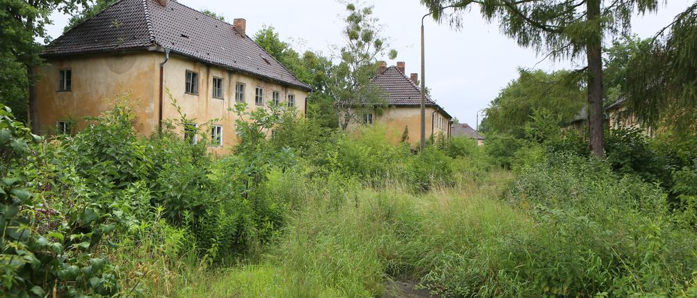 Wie wird Potsdams neuer Stadtteil Krampnitz aussehen?