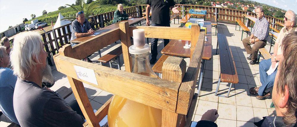 Arbeit und Vergnügen. Auf dem Werderander Wachtelberg konnten am Wochenende Hobbywinzer von Manfred Lindicke bei einem Weinseminar Wissenswertes zur Weinherstellung erfahren.