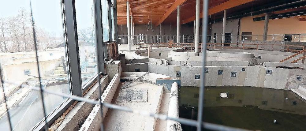 Halbfertig. Seit Ende 2014 wird an der Blütentherme nicht mehr gebaut.