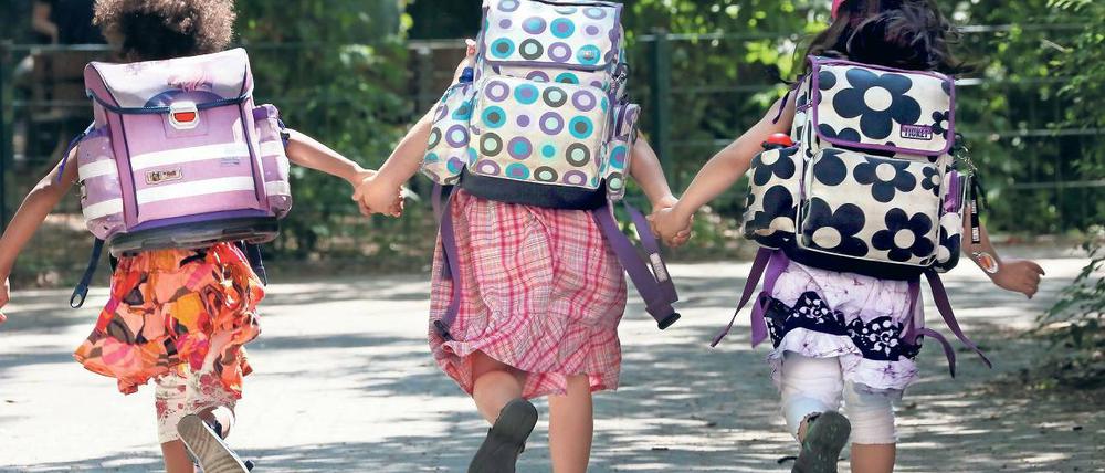 Es geht wieder los. Am heutigen Samstag ist Einschulung, am Montag startet das neue Schuljahr.