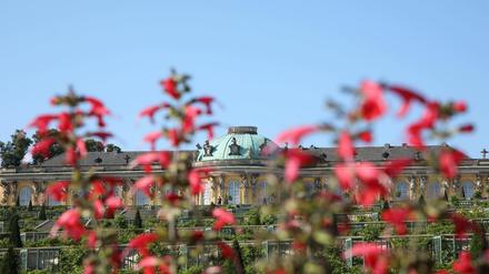 Der Park Sanssouci in Potsdam: Soll die Stadt der Schlösserstiftung zur Finanzierung der Parkpflege entgegenkommen?