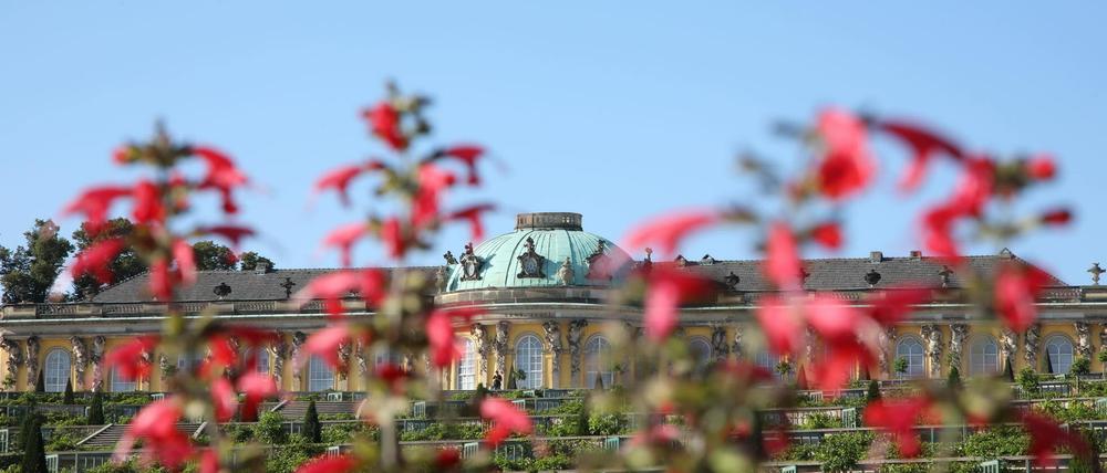 Der Park Sanssouci in Potsdam: Soll die Stadt der Schlösserstiftung zur Finanzierung der Parkpflege entgegenkommen?
