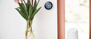 Das Design von Google Home ist eher unauffällig. Früher hieß es, lasst Blumen sprechen, heute antwortet der Lautsprecher auf Fragen.