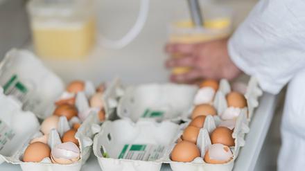 Belastete Eier auch in Potsdam und anderen Teilen von Brandenburg gefunden.