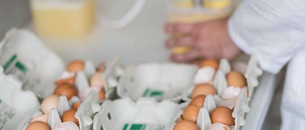 Belastete Eier auch in Potsdam und anderen Teilen von Brandenburg gefunden.