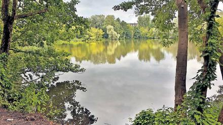 Reingewaschen. Der Regen der vergangenen Monate hat der Wasserqualität des Aradosees gutgetan. Die Ufer wurden von Müll befreit und aufgearbeitet.