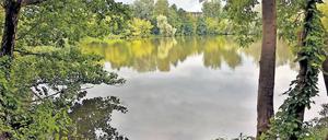 Reingewaschen. Der Regen der vergangenen Monate hat der Wasserqualität des Aradosees gutgetan. Die Ufer wurden von Müll befreit und aufgearbeitet.