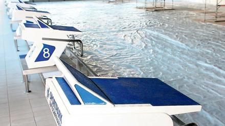 Ungenutzt? Der Potsdamer Schwimmstandort hat ideale Bedingungen als Bundesstützpunkt. Doch droht der Zuschlag an den Streiterinnen innerhalb des Landesverbandes zu scheitern.