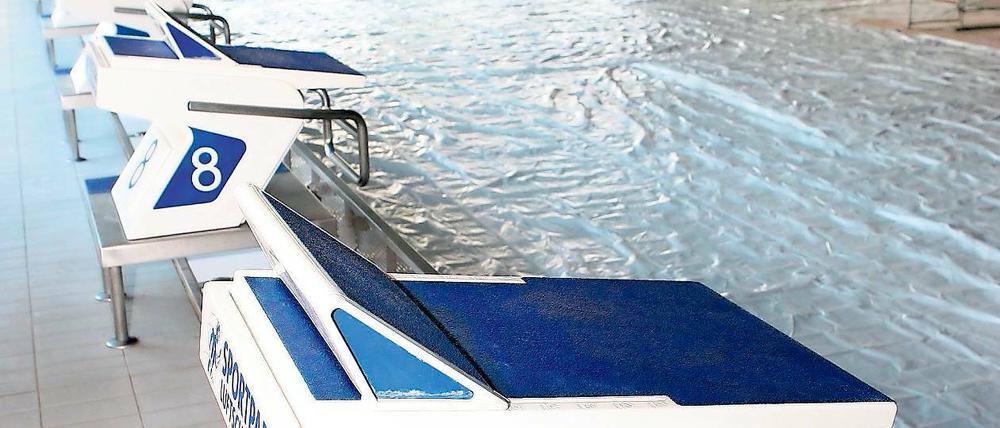 Ungenutzt? Der Potsdamer Schwimmstandort hat ideale Bedingungen als Bundesstützpunkt. Doch droht der Zuschlag an den Streiterinnen innerhalb des Landesverbandes zu scheitern.