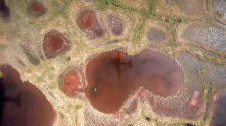 Porös. Der Untergrund des Mackenzie-Deltas aus der Polar 5 gesehen.