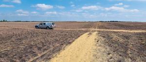 Wüste Fläche. In der Lieberoser Heide gab es 1942 einen Großbrand, dann übte dort die sowjetische Armee. Es blieb nur Sand, die Vegetation entwickelt sich langsam.
