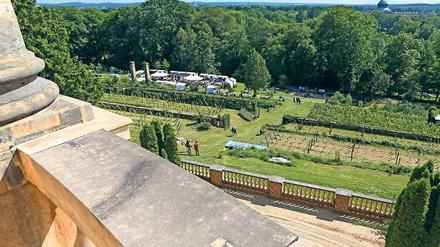 Blick von oben. Das Weinfest zu Füßen des Königlichen Weinberges.