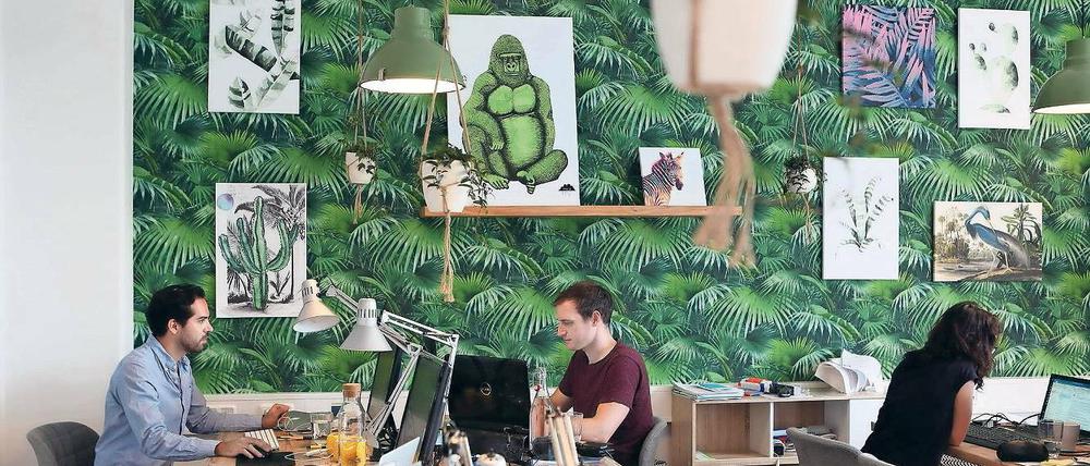 Im Paragrafendschungel. Philipp von Zezschwitz (l.) ist einer der beiden Gründer der Miethelden. Seit Jahresbeginn hat das Potsdamer Start-up bereits mehrere Hundert Kunden aus der Landeshauptstadt gewonnen, aber auch Berliner zählen zu den Mandanten.
