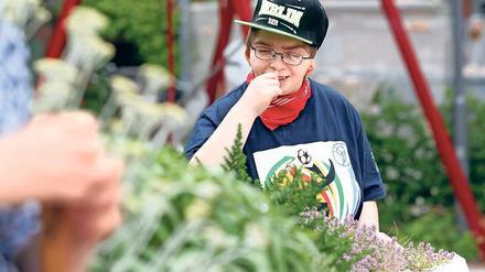 Glaube im Garten. Landschaftsgärtnerin Anja Möller entwirft Bibelgärten. Damit könne man Menschen einen neuen Zugang zur Geschichte geben. Sie hat auch einen Sinnesgarten für Menschen mit Behinderungen entworfen.