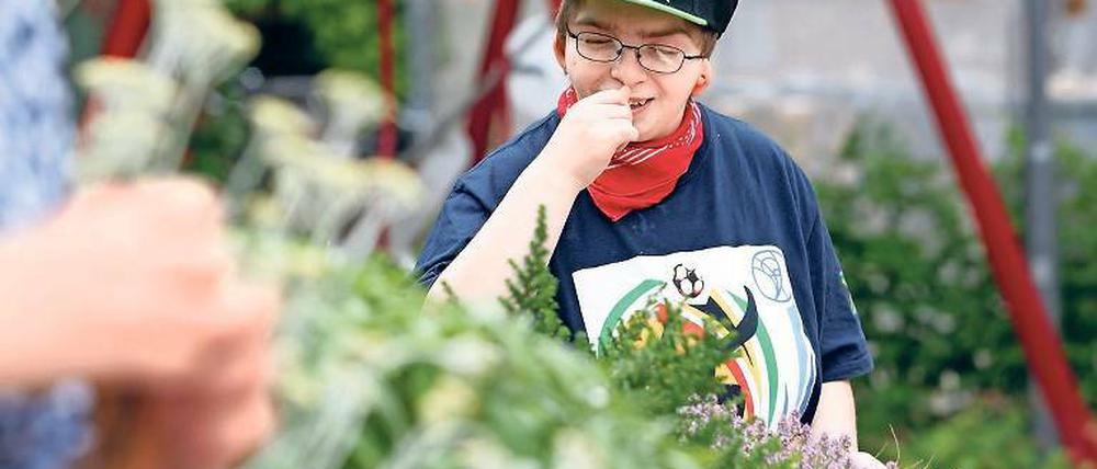 Glaube im Garten. Landschaftsgärtnerin Anja Möller entwirft Bibelgärten. Damit könne man Menschen einen neuen Zugang zur Geschichte geben. Sie hat auch einen Sinnesgarten für Menschen mit Behinderungen entworfen.