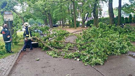 Umgerissen. Schäden gab es etwa in der Käthe-Kollwitz-Straße.
