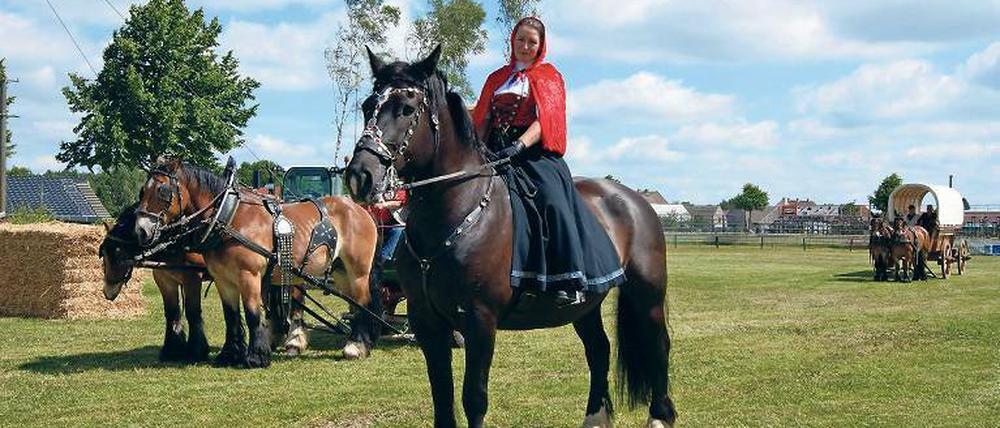 Titanen der Rennbahn. Rotkäppchen dieses mal hoch zu Pferde.
