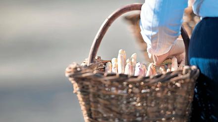 Starke Ernte, schwache Preise. Mit der am heutigen Samstag auslaufenden Spargelsaison sind die Bauern der Region nur mäßig zufrieden. Zwar wurde mit mehr als 10 000 Tonnen Spargel eine Rekordernte eingefahren, doch der Preis pro Kilogramm blieb im Mittel 23 Cent unter Vorjahresniveau.