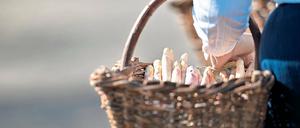 Starke Ernte, schwache Preise. Mit der am heutigen Samstag auslaufenden Spargelsaison sind die Bauern der Region nur mäßig zufrieden. Zwar wurde mit mehr als 10 000 Tonnen Spargel eine Rekordernte eingefahren, doch der Preis pro Kilogramm blieb im Mittel 23 Cent unter Vorjahresniveau.