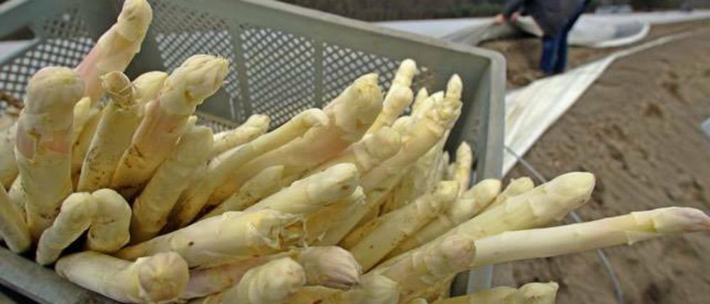 Der Spargelhof Klaistow (Potsdam-Mittelmark) wurde erneut Ziel von Einbrechern.