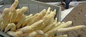 Der Spargelhof Klaistow (Potsdam-Mittelmark) wurde erneut Ziel von Einbrechern.