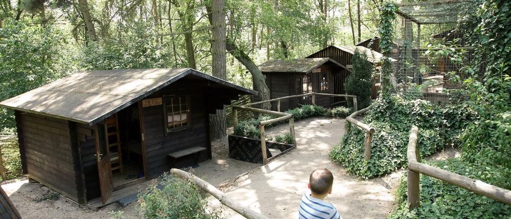 Im Potsdamer Waldhaus finden Kinder aus dem Kriegsgebiet im Osten der Ukraine Ruhe und Erholung.