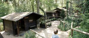 Im Potsdamer Waldhaus finden Kinder aus dem Kriegsgebiet im Osten der Ukraine Ruhe und Erholung.