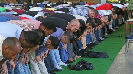 Seit vergangenem Herbst können die Potsdamer Muslime die Biosphäre für das Freitagsgebet nutzen.