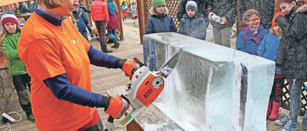 Ausgezeichnet. Der Verein Iceploration, hier Mitgründerin Geertje Jacob, informiert unter anderem bei Projekttagen an Schulen über das Schmelzen des Grönlandeises.