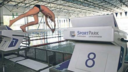 Potsdam gilt als eins der erfolgreichsten Schwimm-Nachwuchszentren bundesweit - noch.