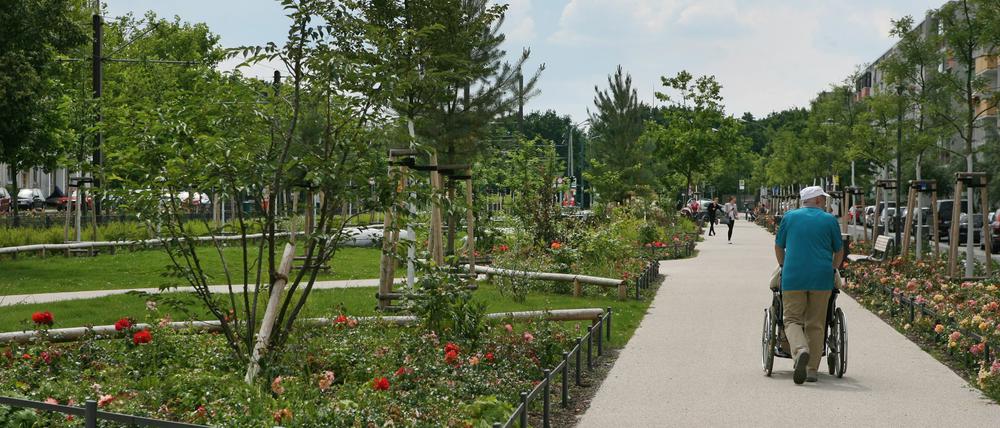 Herzstück. Die Grünfläche in der Konrad-Wolf-Allee ist das zentrale Element der Gartenstadtpläne.