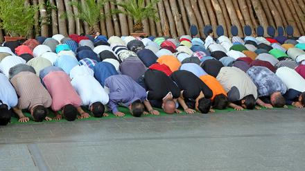 In Berlin gestaltet sich die Suche nach einer Anbindung der islamischen Theologie an die christlichen Theologien schwierig. Aus Potsdam kommt derweil Kooperationswille und Expertise.