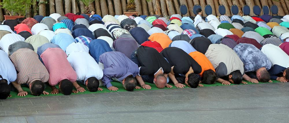 In Berlin gestaltet sich die Suche nach einer Anbindung der islamischen Theologie an die christlichen Theologien schwierig. Aus Potsdam kommt derweil Kooperationswille und Expertise.