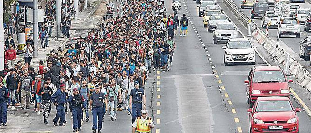 Tausende Menschen gehen über die Autobahn zur österreichischen Grenze.