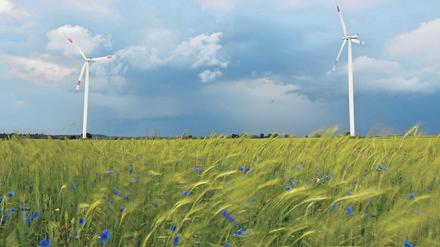 Lust auf Brandenburg? Mit einer neuen Marketingkampagne will die Landesregierung das Image der Mark kräftig aufpolieren. Unter anderem soll mit der starken Position Brandenburgs in Sachen Windkraft gepunktet werden.