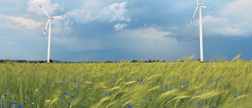 Lust auf Brandenburg? Mit einer neuen Marketingkampagne will die Landesregierung das Image der Mark kräftig aufpolieren. Unter anderem soll mit der starken Position Brandenburgs in Sachen Windkraft gepunktet werden.
