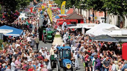 Beim Festumzug zum Beelitzer Spargelfest wird es wieder eine Spargelpyramide geben.