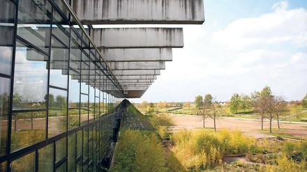 Schwierige Debatte. Für die Biosphäre gibt es bislang kein Konzept, aber viele Begehrlichkeiten. Unter anderem wird in dem Bereich nach einem Standort für einen Jugendklub gesucht – doch das Innere und auch das Außengelände der Halle sind nicht geeignet.