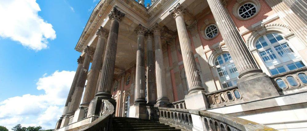Die Universität Potsdam hat zwei begehrte Forschungsförderungen eingespielt.