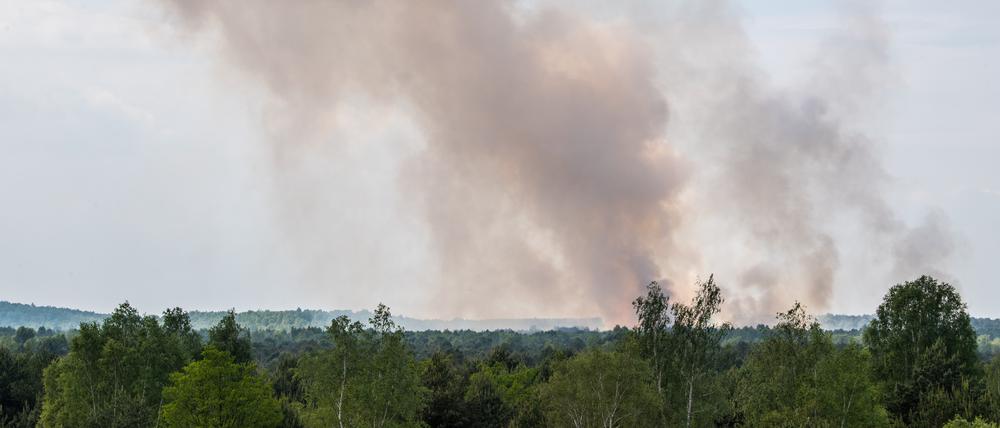 Ein Waldstück in der Lieberoser Heide in Brandenburg brennt.