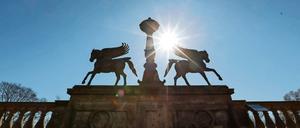 Einen romantischen Frühsommernachmittag kann man am Donnerstag auf dem Pfingstberg-Belvedere erleben.