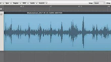 Aus einem Scherz geboren. Die Idee zur Baby-Musik, die auch am Computer entsteht (l.) , kam Katharina und Lucas Sehnert während einer TV-Dokumentation.