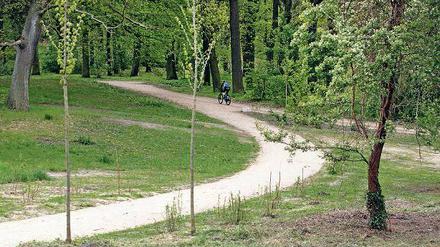 Geschwungen. Der neue Weg schließt an die Feuerwehrzufahrt an.