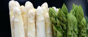 Edles Gemüse. Wegen der niedrigen Temperaturen können nicht die gewünschten Mengen geerntet werden.